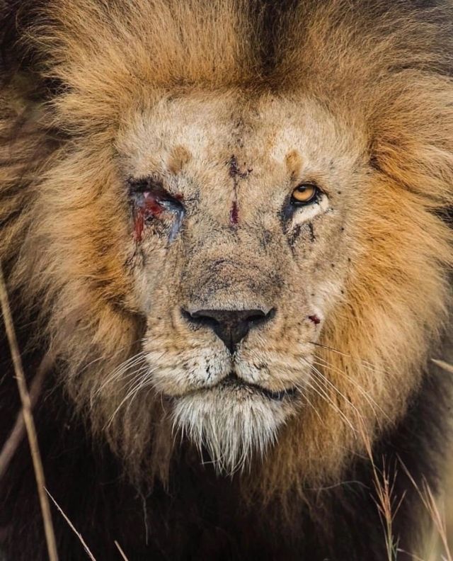 Мужчина Ильнур  Ново-Савиновский Фотография 