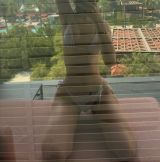 Миниатюра Индивидуалка Милана Московский Фотография 